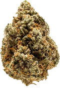 Flower Category